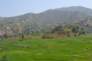 DSC_0665.JPG